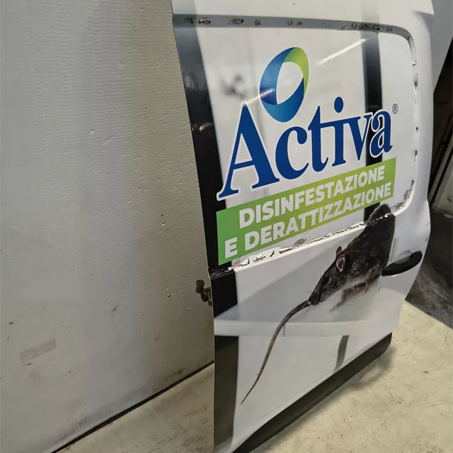 Porta posteriore destra