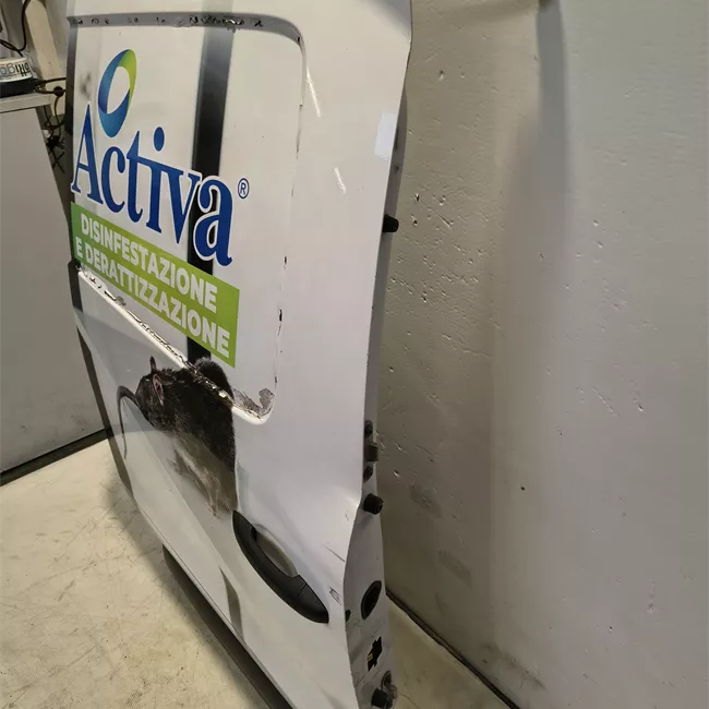 Porta posteriore destra