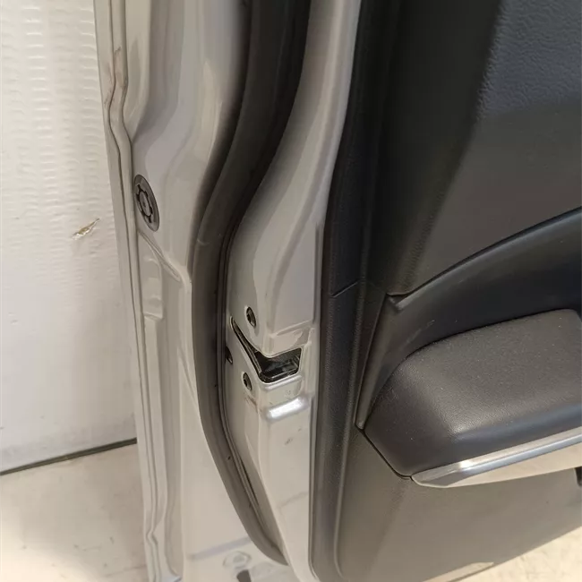 Porta anteriore sinistra