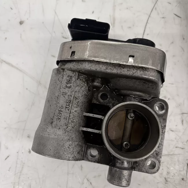 Corpo farfallato rotazionale ione, selespeed, VDC