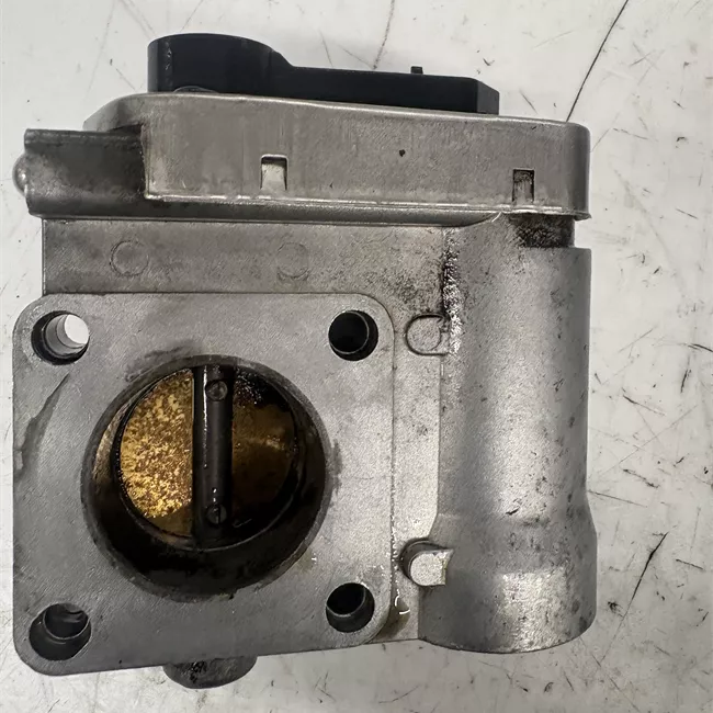 Corpo farfallato rotazionale ione, selespeed, VDC