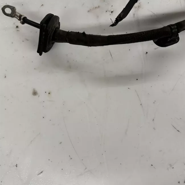 Scatola sterzo servoassistita elettronica