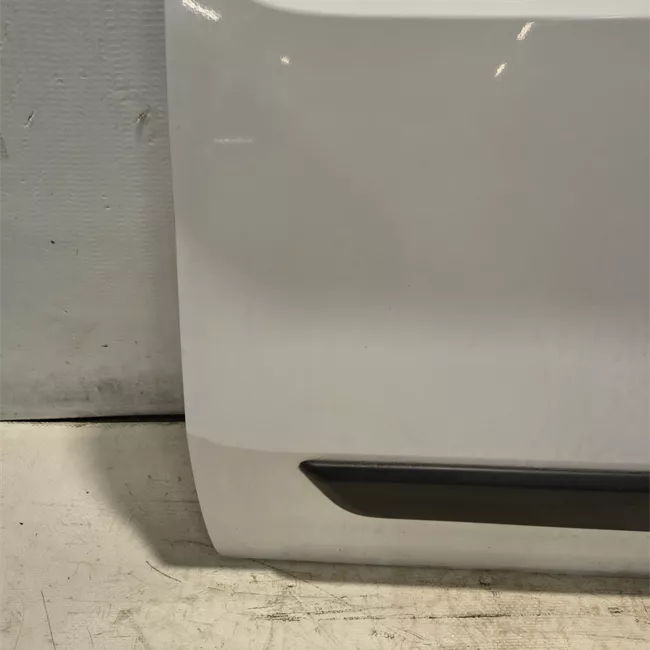 Porta anteriore sinistra