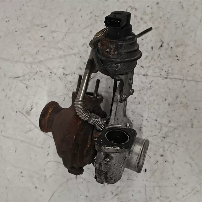 Turbocompressore rotazionale