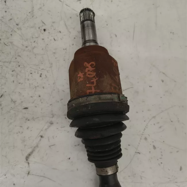 Semialbero anteriore completo sinistro