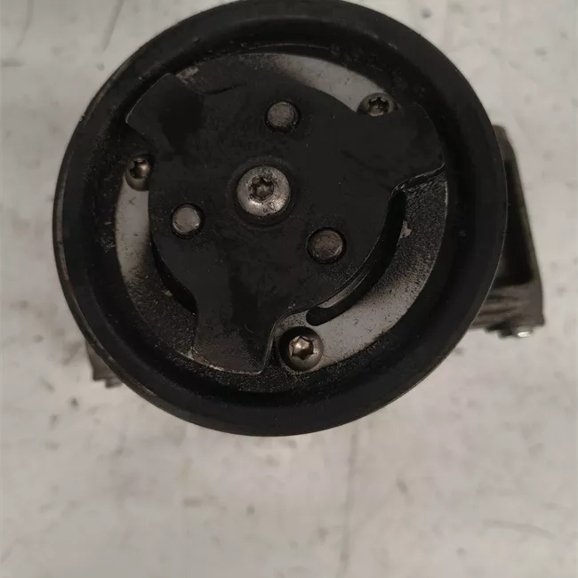 Compressore aria condizionata Sanden