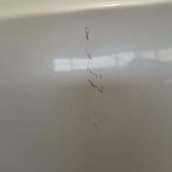 Porta posteriore destra