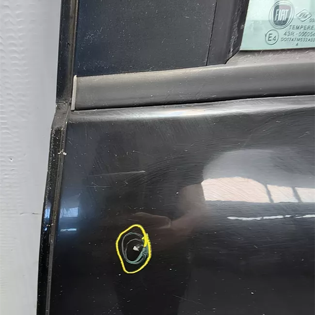 Porta posteriore sinistra