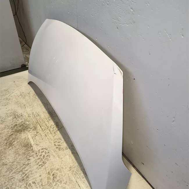 Cofano anteriore