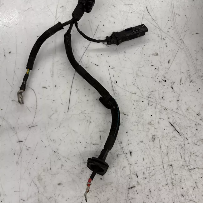 Scatola sterzo servoassistita elettronica