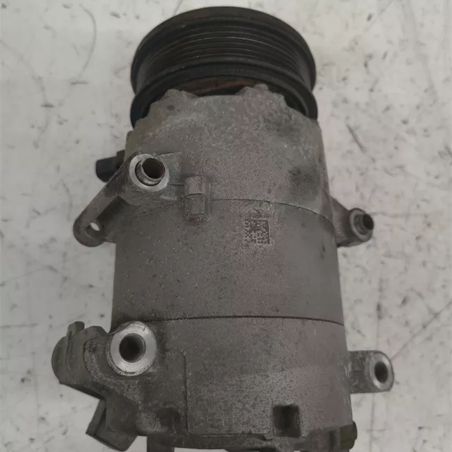 Compressore aria condizionata rotazionale