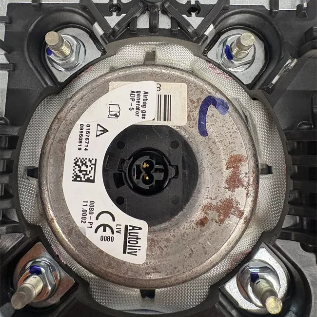 Dispositivo airbag lato guida
