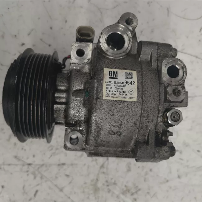 Compressore aria condizionata rotazionale