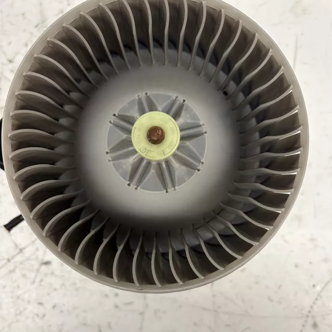 Motorino ventilazione abitacolo