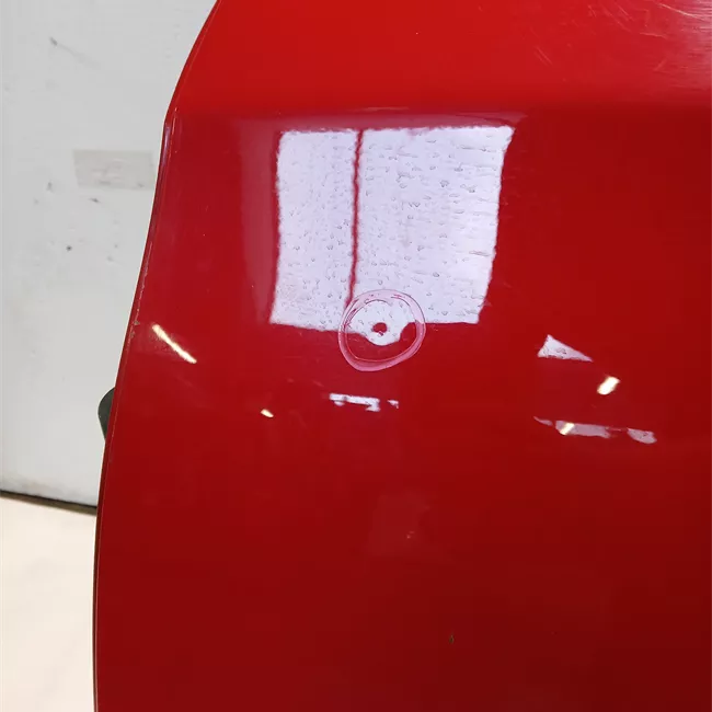 Porta posteriore sinistra con modanatura