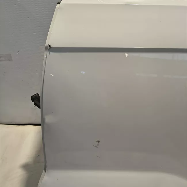 Porta posteriore sinistra con cerniere lato porta
