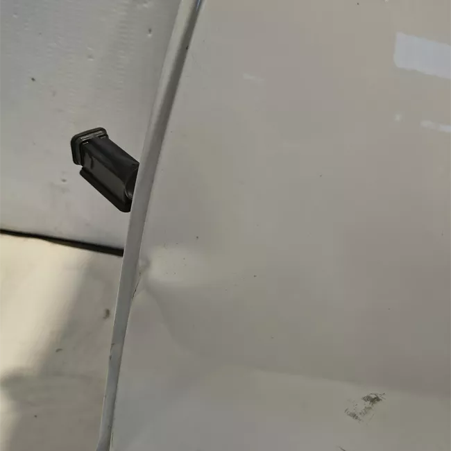 Porta posteriore sinistra con cerniere lato porta