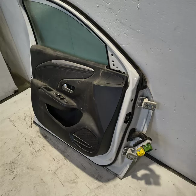Porta anteriore sinistra