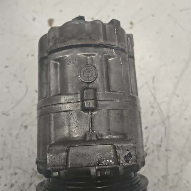 Compressore aria condizionata rotazionale