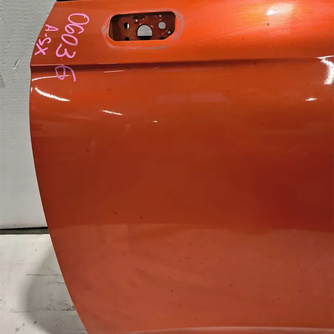 Porta anteriore sinistra