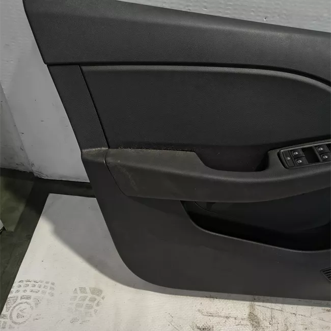Pannello interno porta anteriore sinistro Techno/Alpi./vano abitac.SS