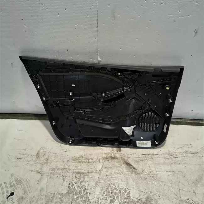Pannello interno porta anteriore destro Techno/Alpi./vano abitac.SS