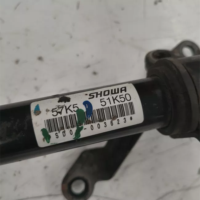Scatola sterzo servoassistita elettronica