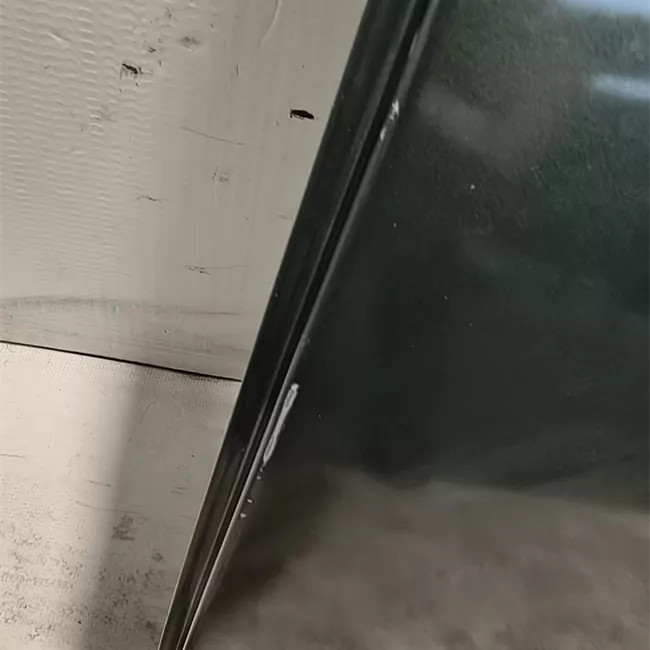 Porta posteriore sinistra con fasce paracolpi