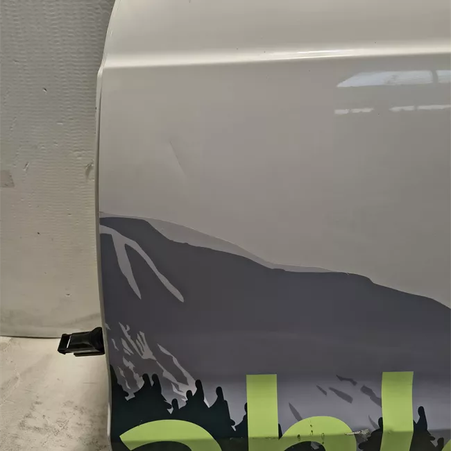 Porta posteriore sinistra