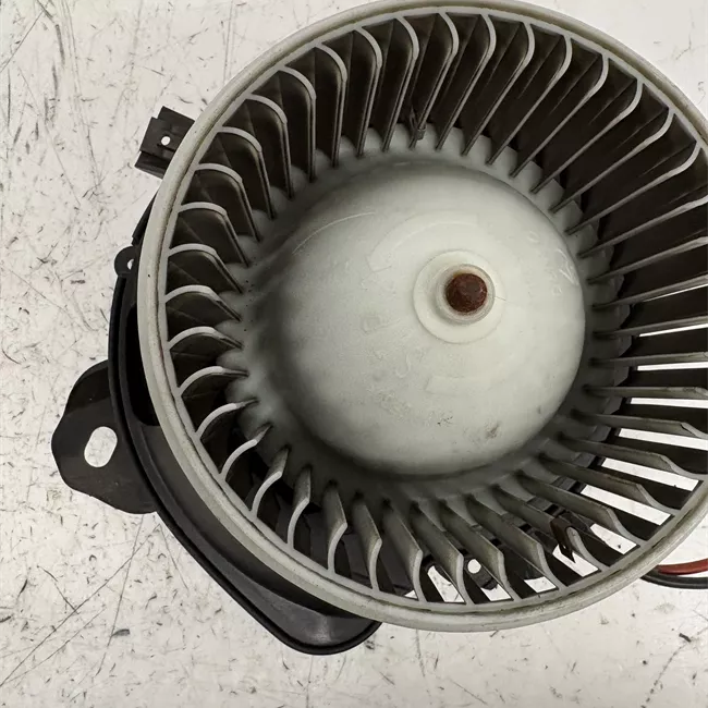 Motorino ventilazione abitacolo