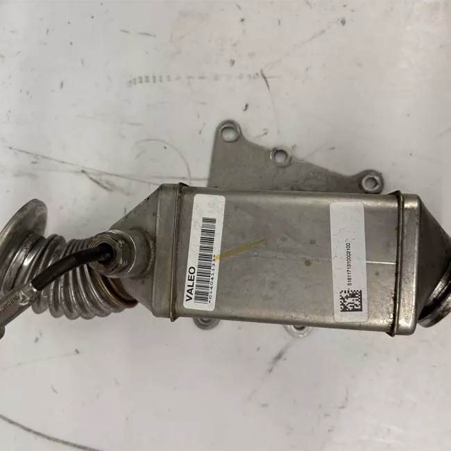 Scambiatore calore EGR