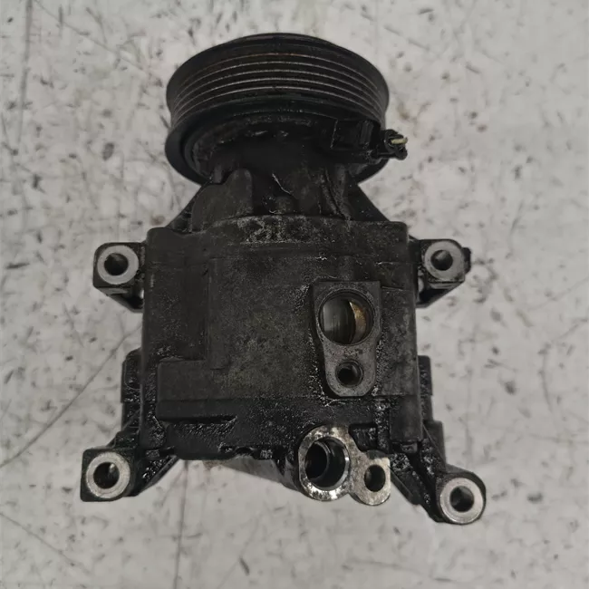 Compressore aria condizionata rotazionale ione