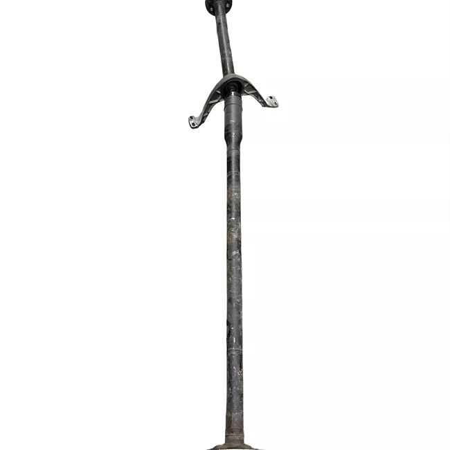 Albero trasmissione posteriore completo
