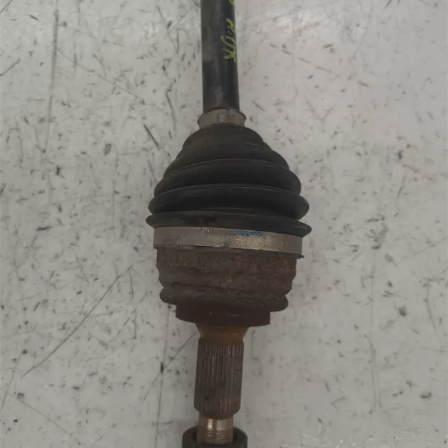 Semialbero anteriore completo destro