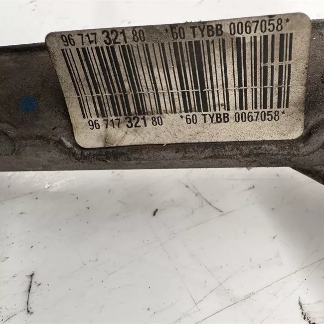 Scatola sterzo servoassistita elettronica