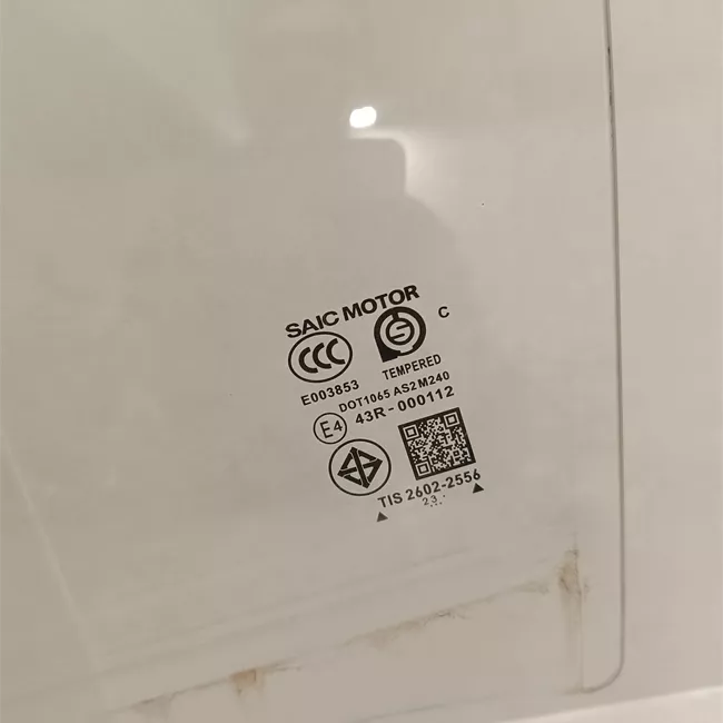 Scendente porta anteriore sinistro