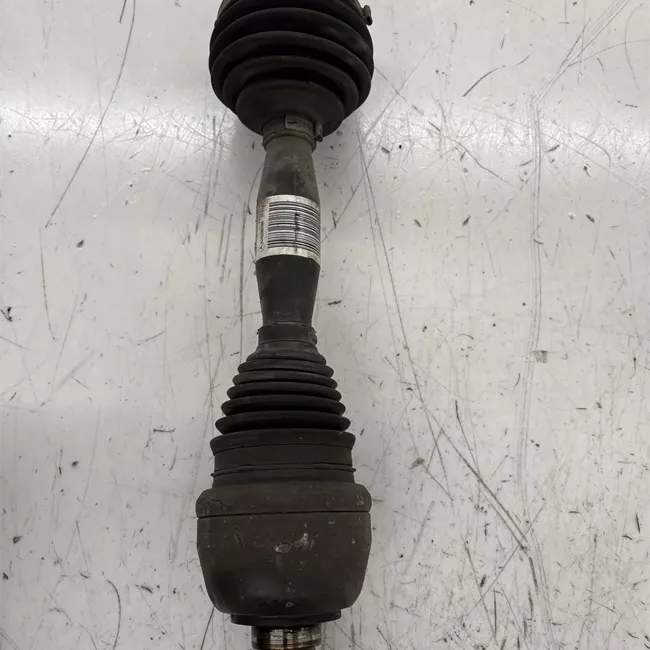 Semialbero anteriore completo sinistro