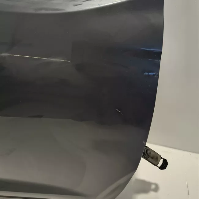 Porta anteriore destra