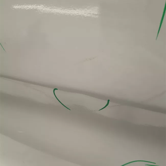 Porta posteriore destra