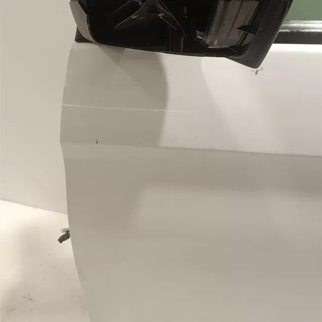 Porta anteriore sinistra