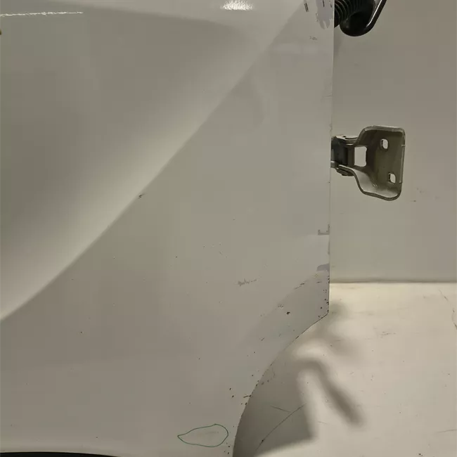 Porta anteriore destra