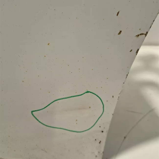Porta anteriore destra