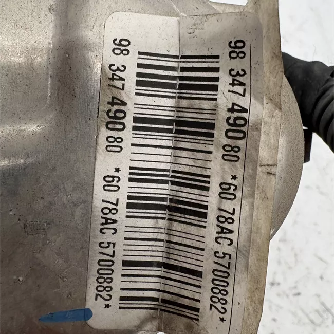 Scatola sterzo servoassistita elettronica