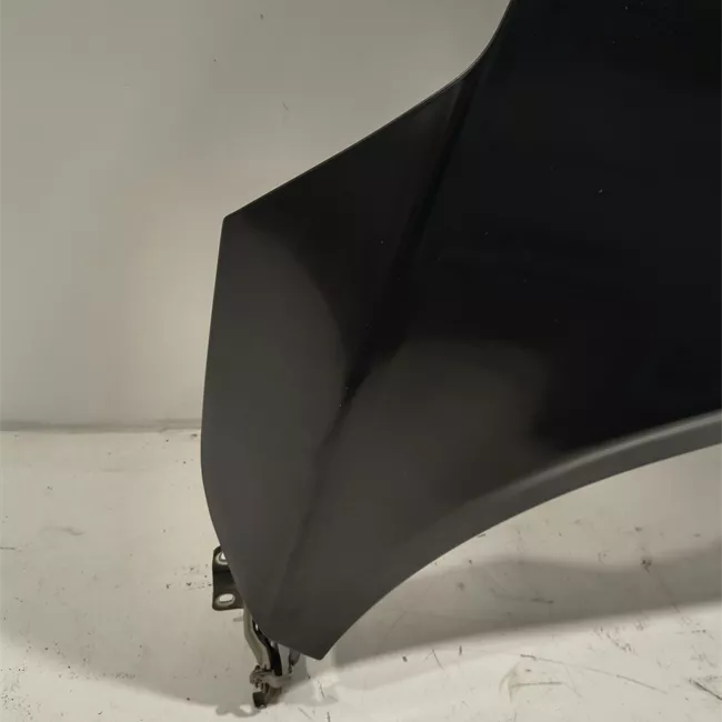 Cofano anteriore