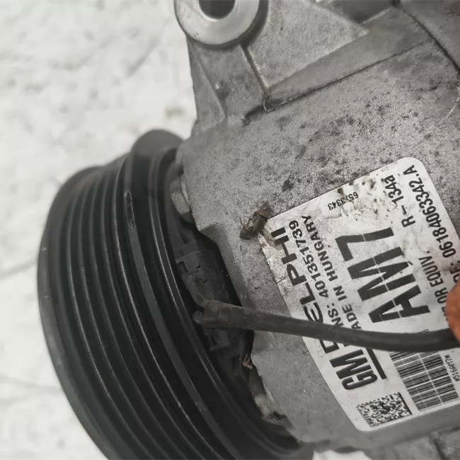 Compressore aria condizionata rotazionale