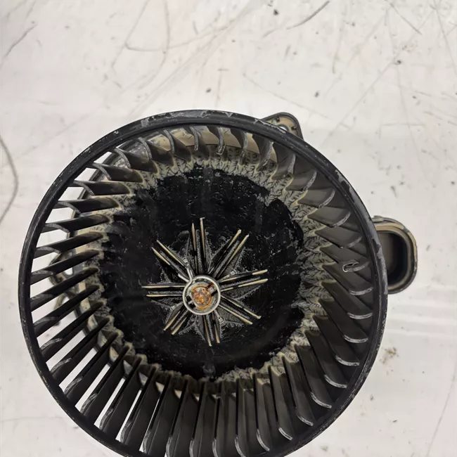 Motorino ventilazione abitacolo