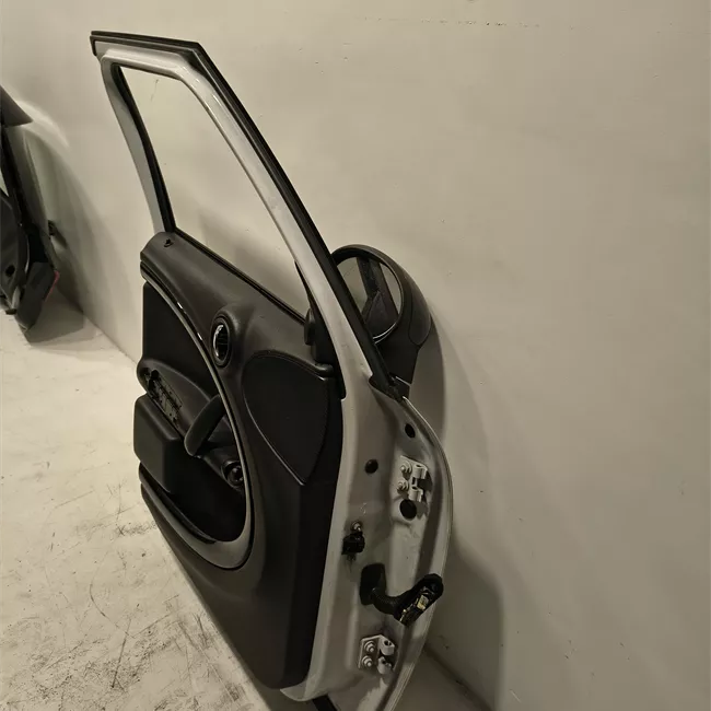 Porta anteriore sinistra