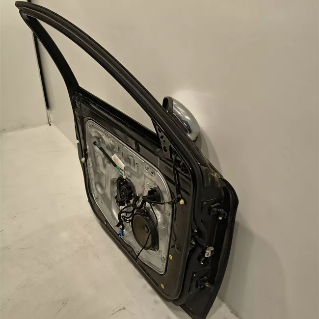 Porta anteriore sinistra