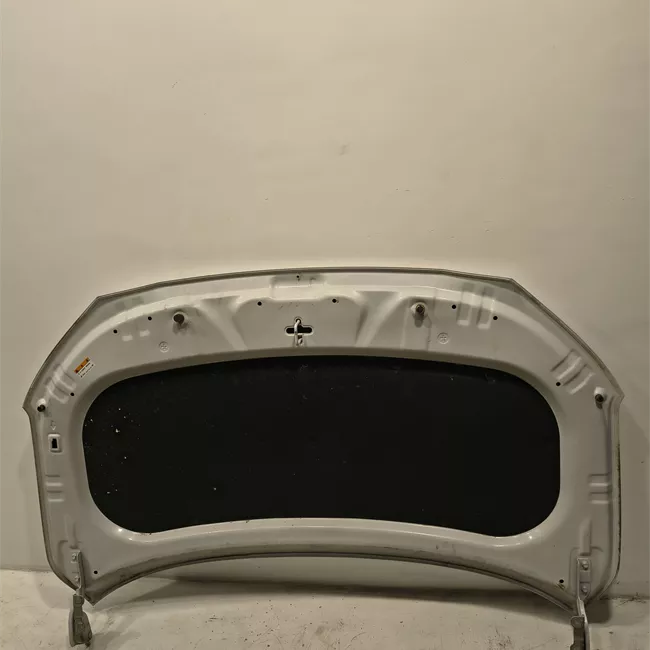 Cofano anteriore