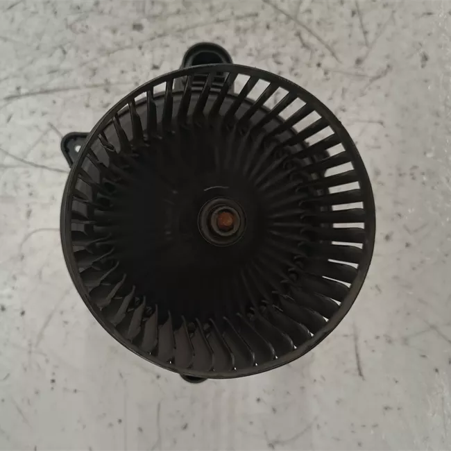 Motorino ventilazione abitacolo